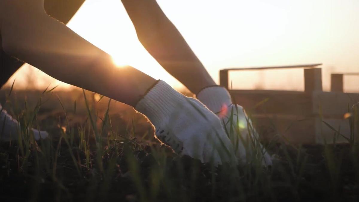 Gesund und Klimafreundlich ernähren