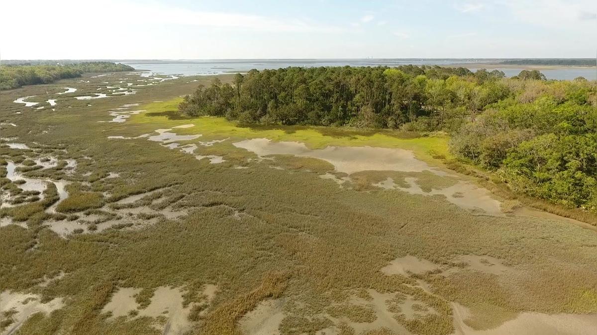 Marsh District Overview