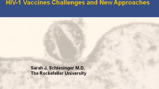 HIV-1 Vaccines, Challenges and New Approaches