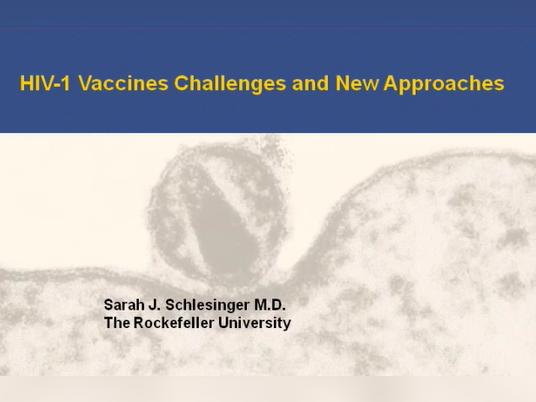 HIV-1 Vaccines, Challenges and New Approaches