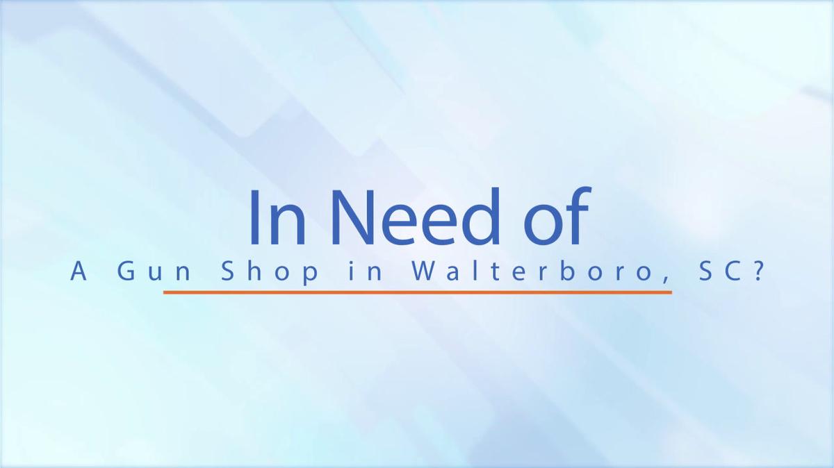 Gun Shop in Walterboro SC, CMH Consulting And Gun Sales