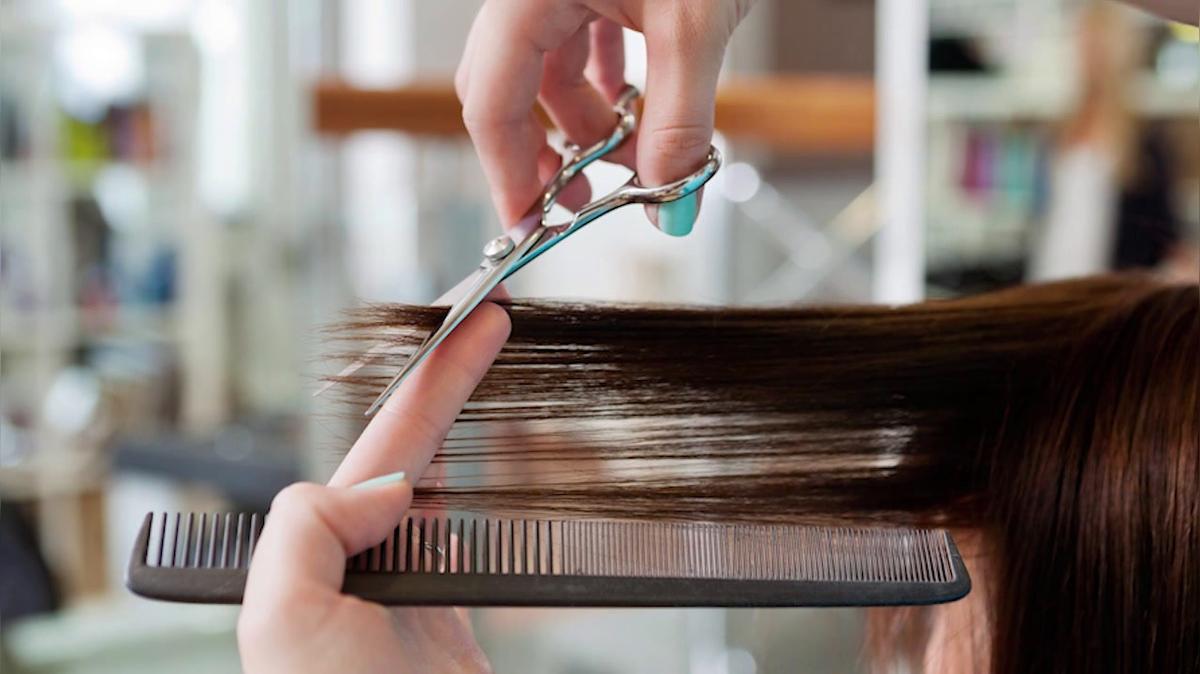 Beauty Salon in Tampa FL, Andrea's Headquarters