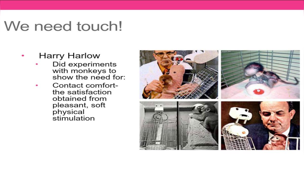 Harry Harlow