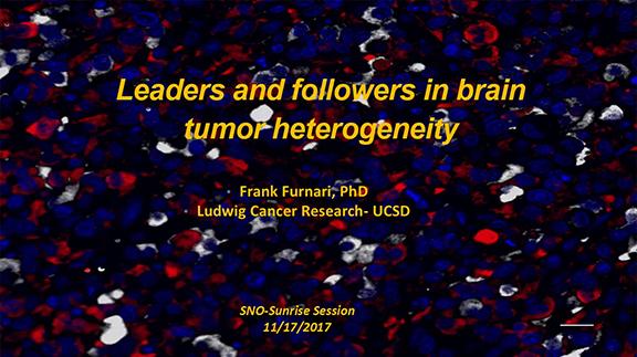 Leaders and Followers in Brain Tumor Heterogeneity