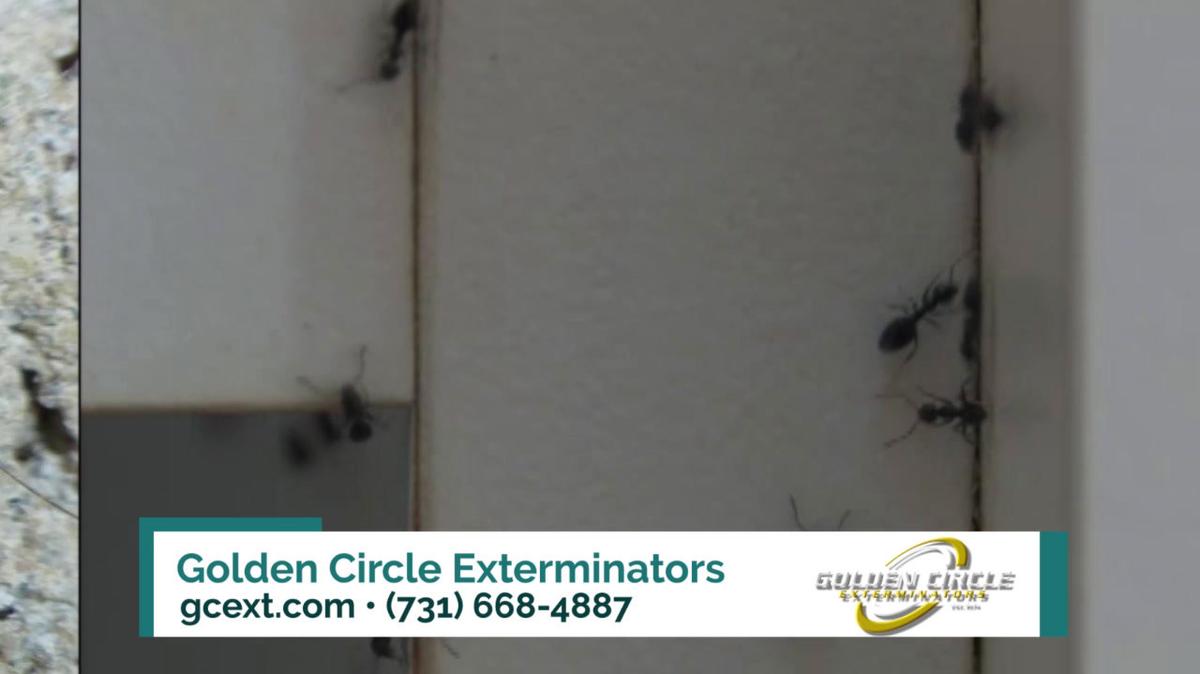 Pest Control in Jackson TN, Golden Circle Exterminators