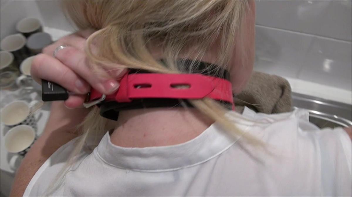 Training collar pre.mp4