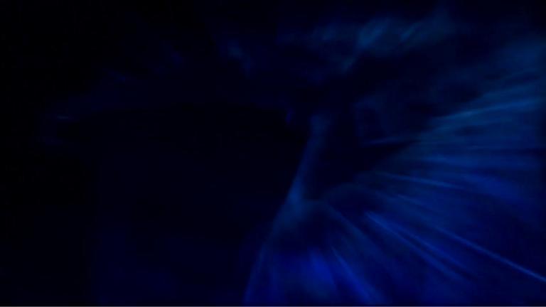 Conscious_Evolution_Segment_3.m4v