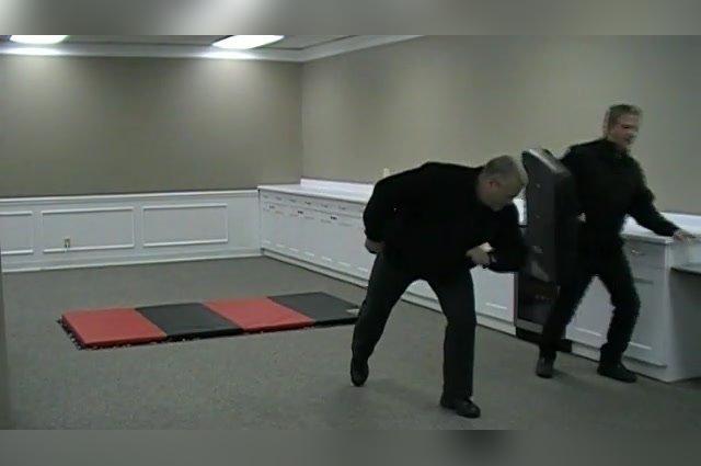 Assailant Toolbox 2: Elbows