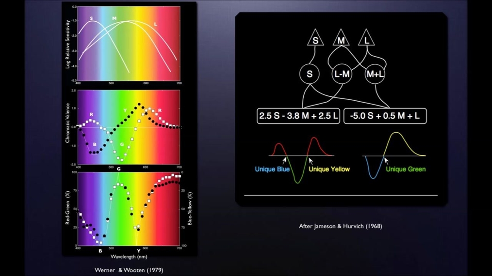 Cambridge Research Systems