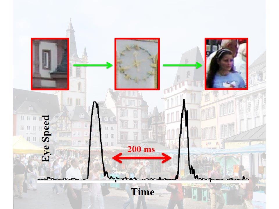 Karl Gegenfurtner &quot;BOMG 2014: Eye Movements and Perception&quot;