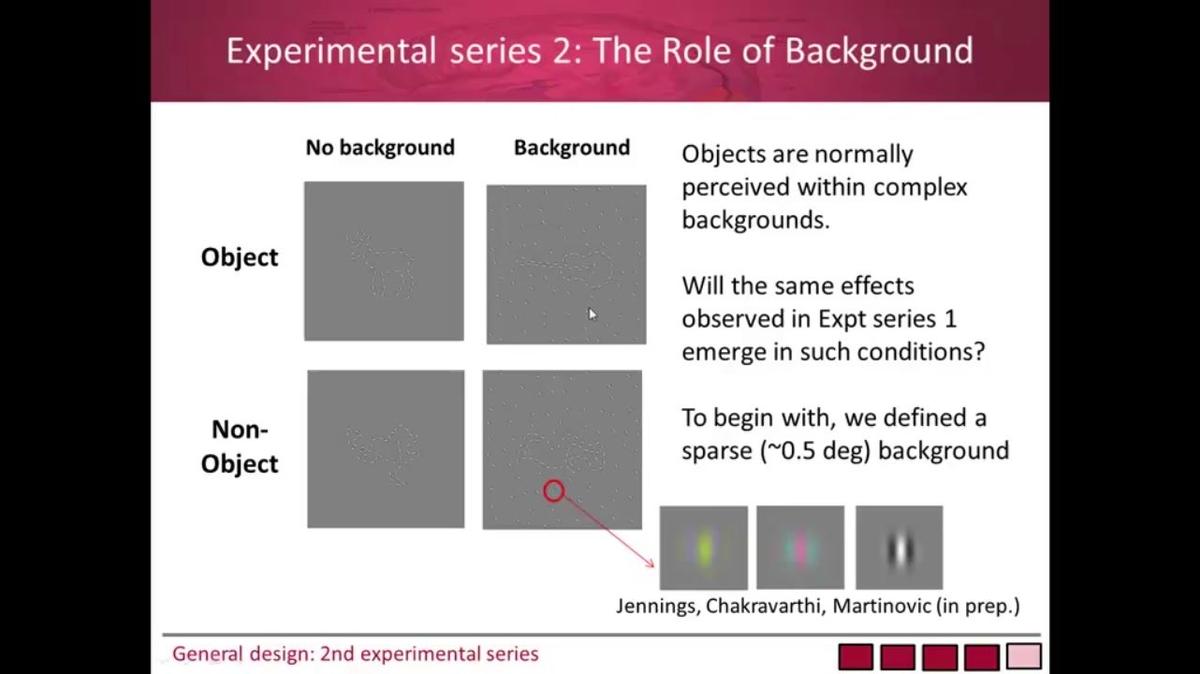 Jasna Martinovic &quot;Conferenza del Colore 2014: Interactions between Colour and Luminance Signals in Object Classification&quot;