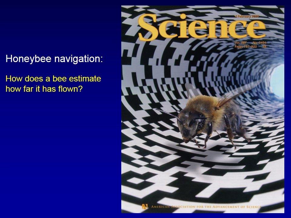 Mandyam Srinivasan &quot;VSS 2014 Keynote: More than a Honey Machine: Vision and Navigation in Honeybees and Applications to Robotics&quot;