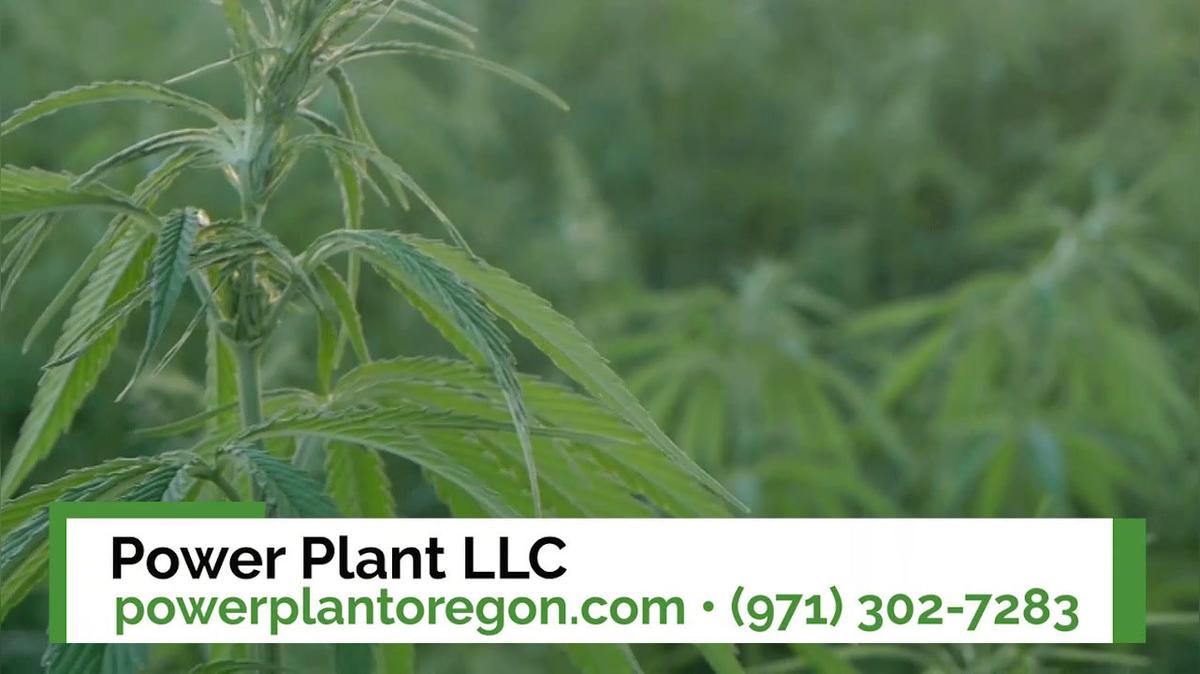 Cbd in Portland OR, Power Plant LLC