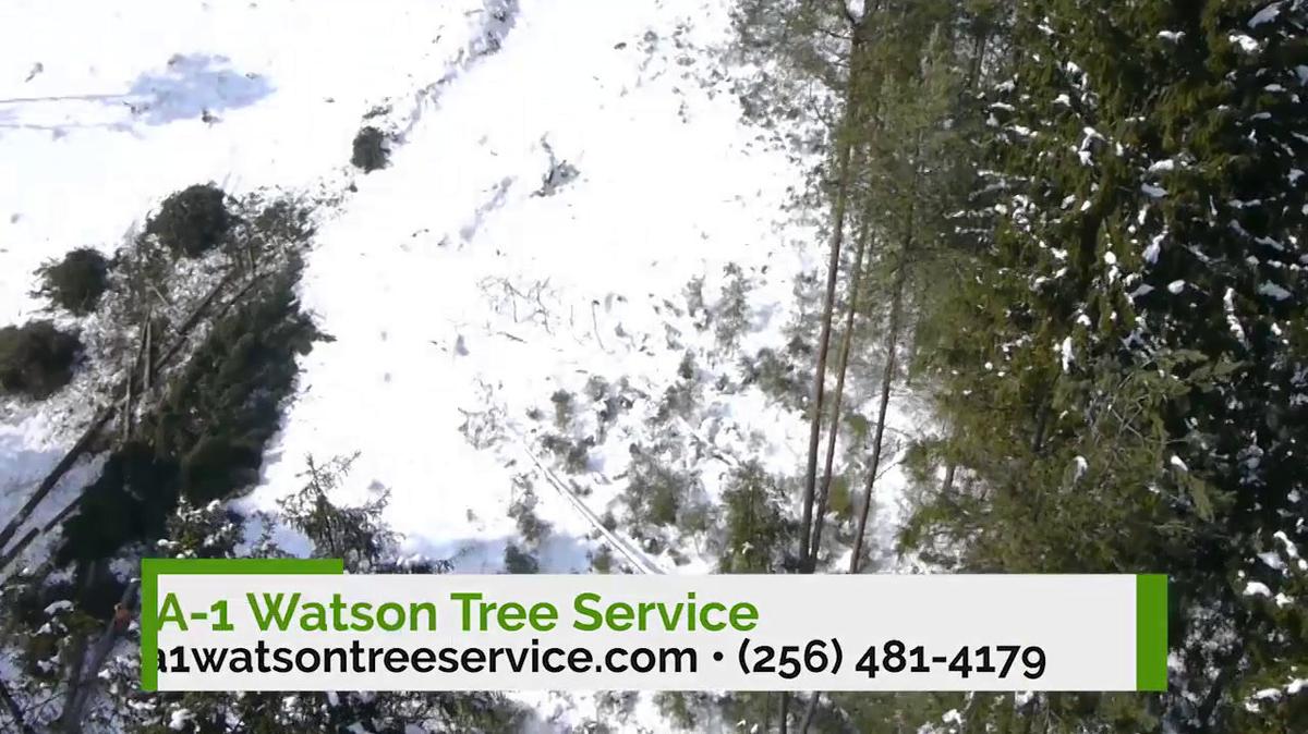Tree Service in Gadsden AL, A-1 Watson Tree Service