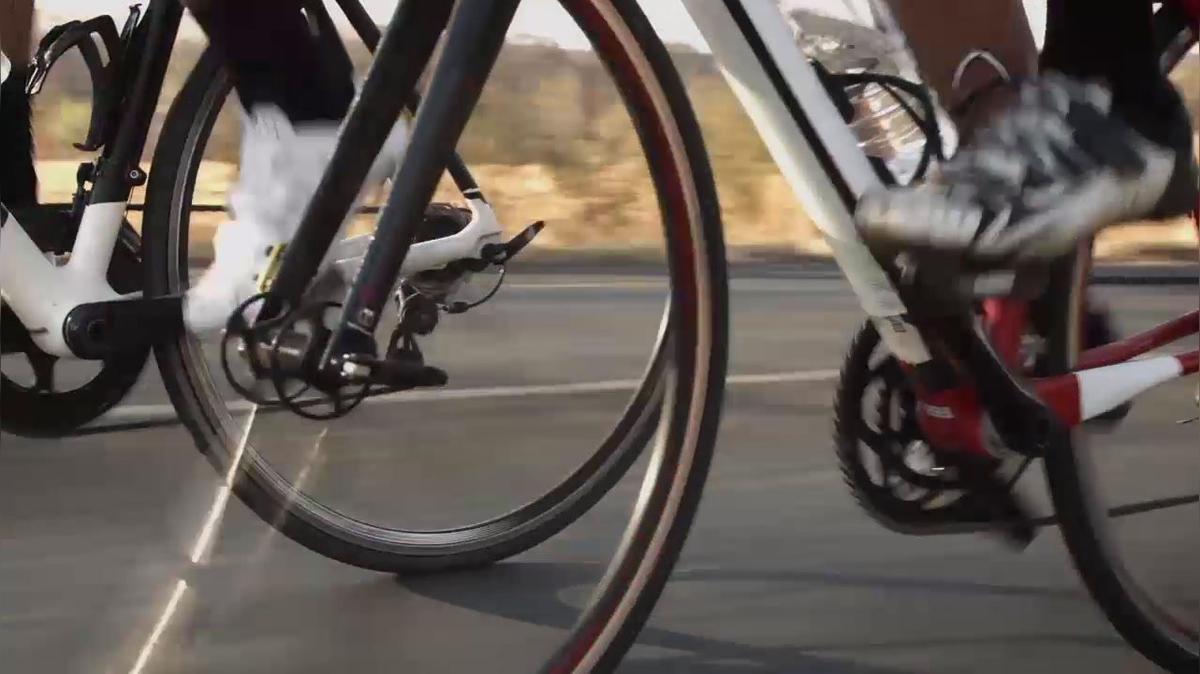 Bicycle Shops in Pompano Beach FL, Bike Science