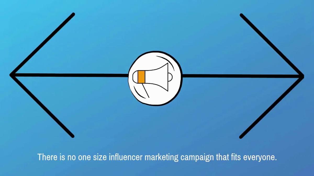 VIP Influencer Partnerships