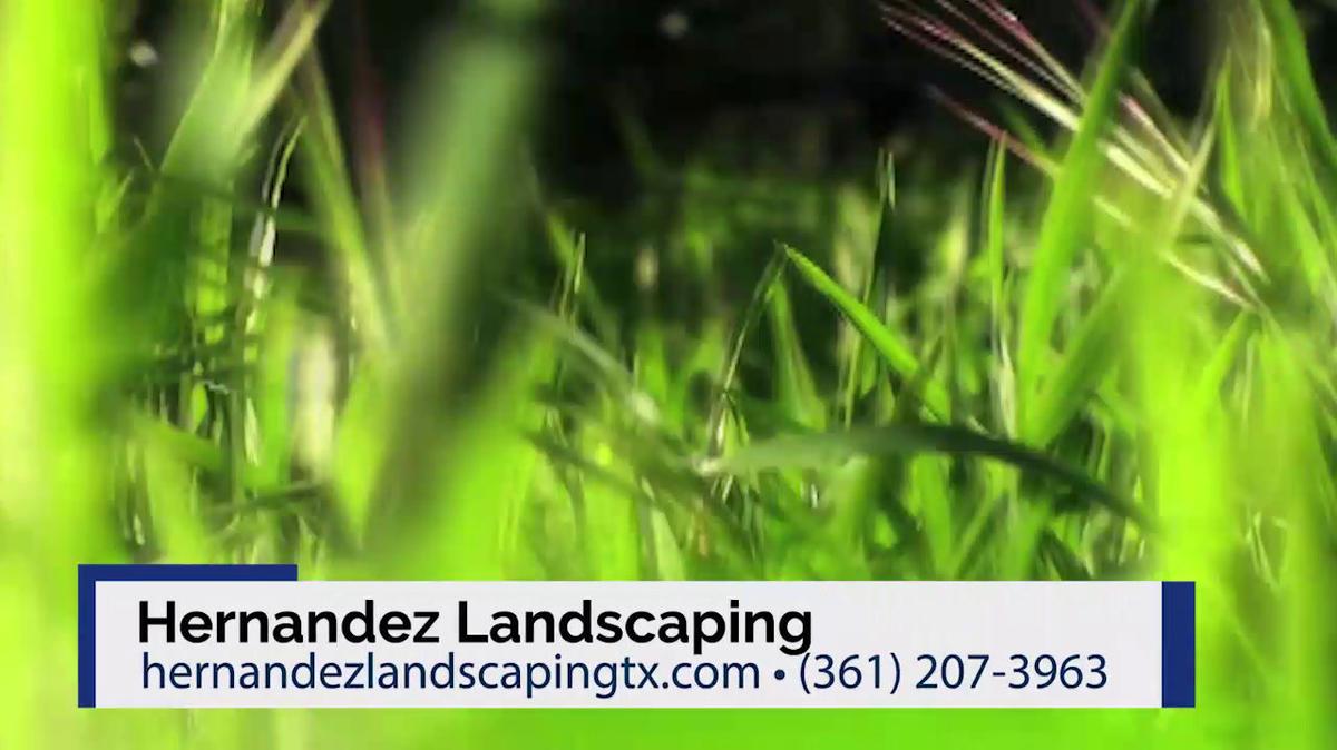 Lawn Service in Alice TX, Hernandez Landscaping