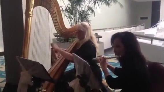 Duo Harp V.G. and Flute.mp4