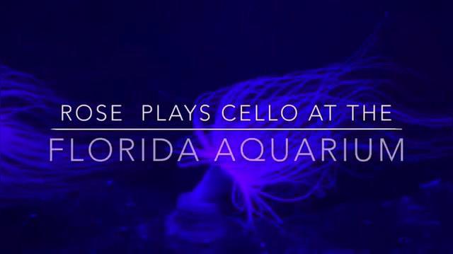 Cellist R.M..mp4