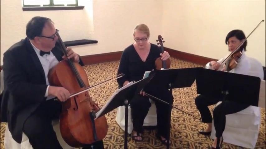 String Trio L.V.W.