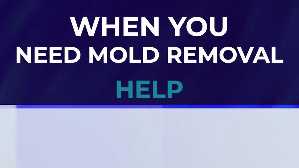 Water Damage Remediation in Arvada CO, Property Doctors