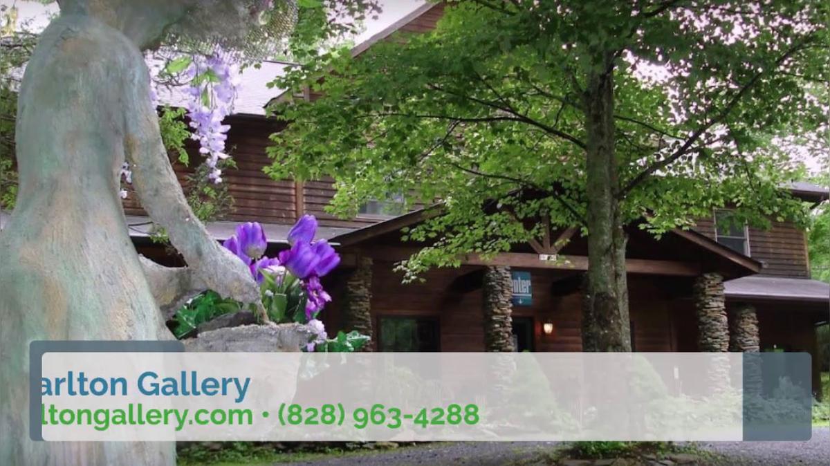 Art Gallery in Banner Elk NC, Carlton Gallery