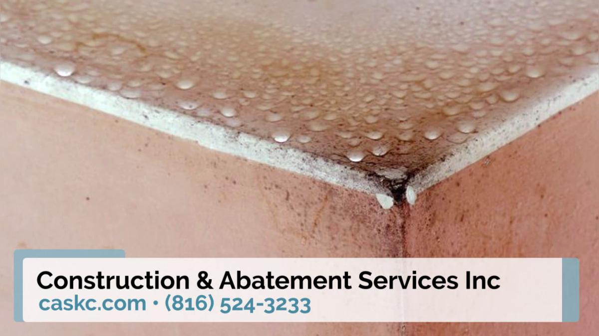 Asbestos Removal in Lee's Summit MO, Construction & Abatement Services Inc