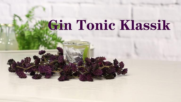 Gin Tonic Klassik