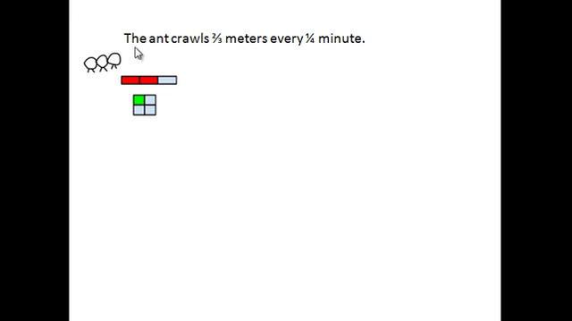 Ant meters per minute.mp4