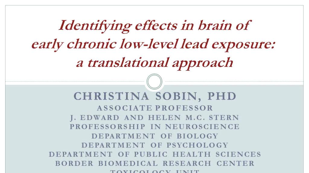 Identifying Effects in Brain of Early Chronic Low-Level Lead Exposure a Translational Approach