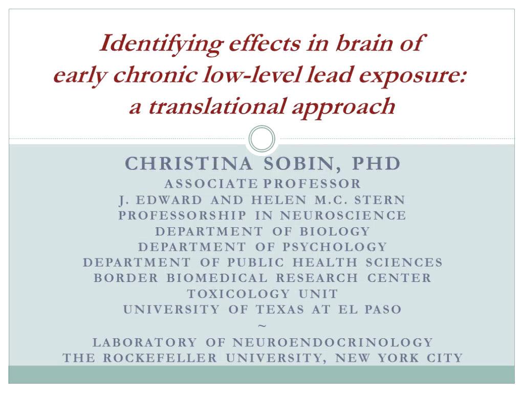 Identifying Effects in Brain of Early Chronic Low-Level Lead Exposure a Translational Approach