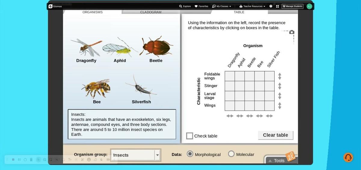 Cladograms Gizmo - Screencastify - April 30, 2026 3_01 PM