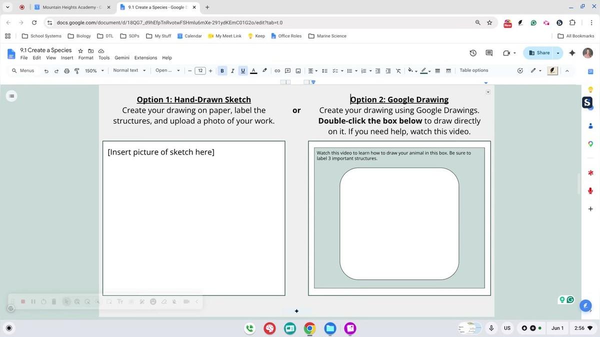 9.1 Google Drawing Help
