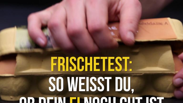 Frischetest: So weißt du, ob dein Ei noch gut ist