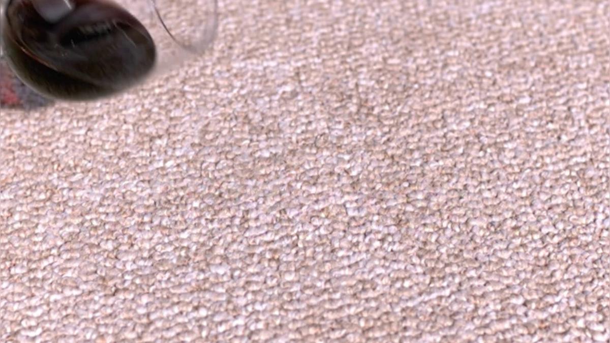 Carpet Cleaning in Williamsville IL, Reliable Cleaning & Carpet Care