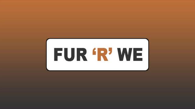 Pet Groomer in Salt Lake City UT, Fur &#39;R&#39; We