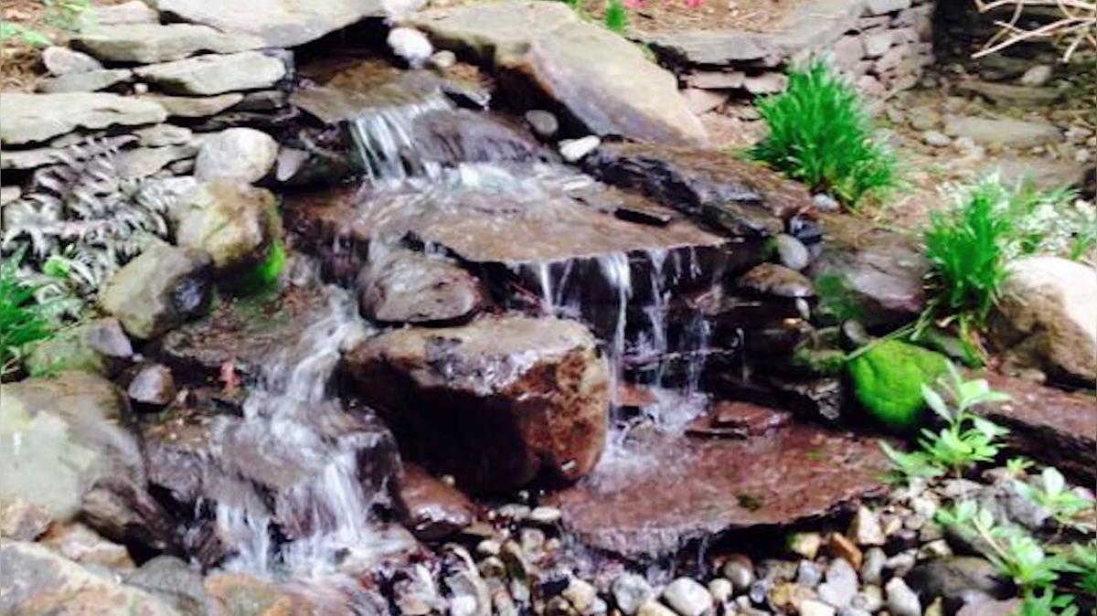 Landscaping in Alexandria VA, Verde Scapes LLC