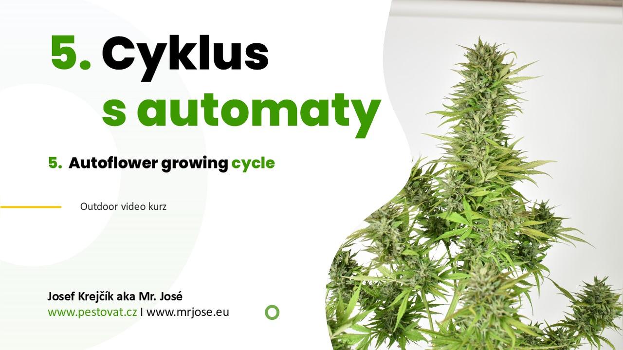 5. lekce: Průběh pěstebního cyklu automatů
