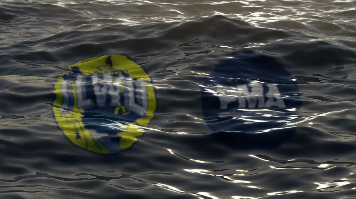 Straddle Carriers - Draft Proof for Review