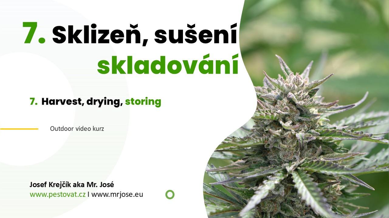 7. lekce: Sušení, curing a skladování