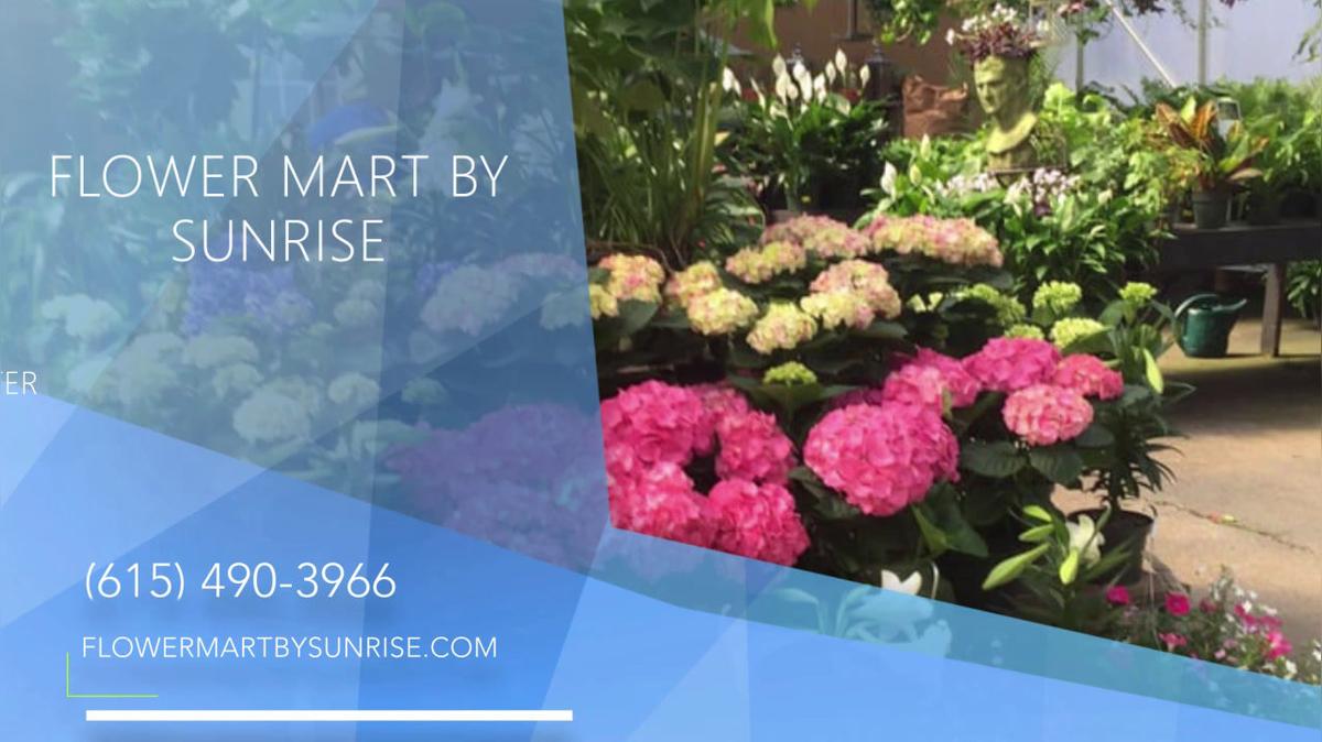 Florist in Nashville TN, Flower Mart By Sunrise