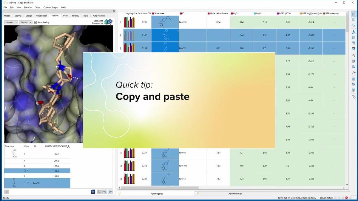 Copy and Paste From StarDrop