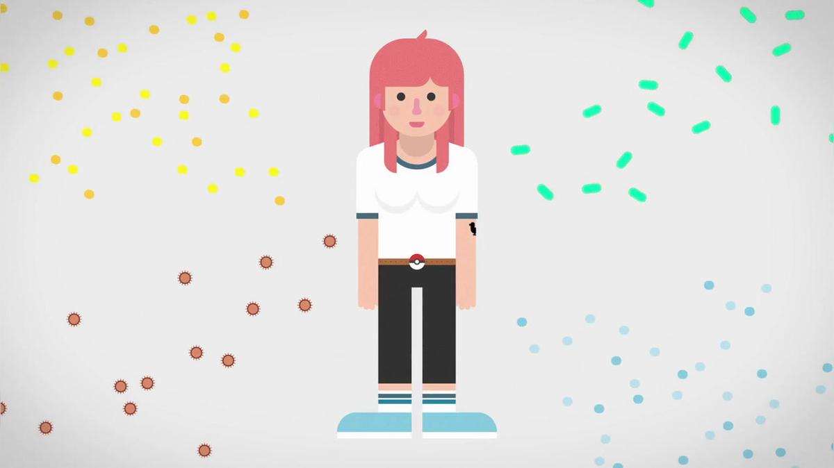 The Immune System Explained I – Bacteria Infection