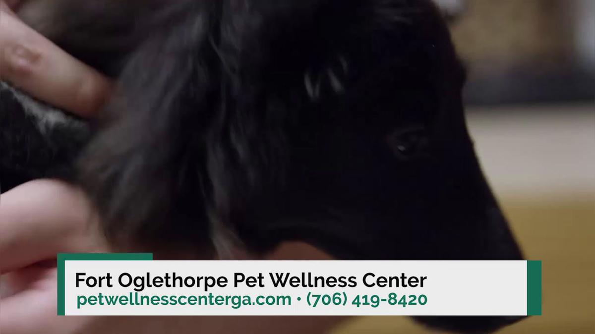 Vet Clinic in Fort Oglethorpe GA, Fort Oglethorpe Pet Wellness Center