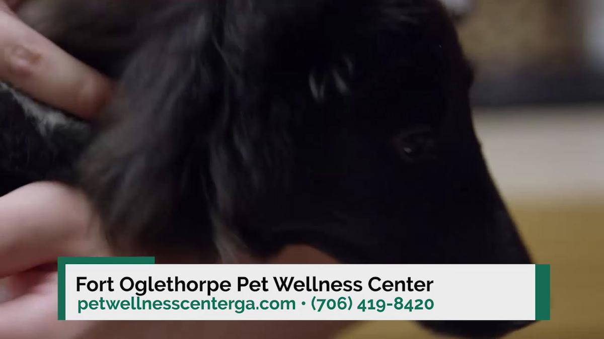 Vet Clinic in Fort Oglethorpe GA, Fort Oglethorpe Pet Wellness Center