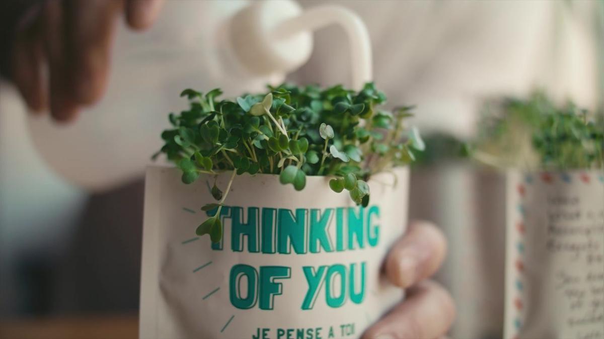 Spotlight: Gift A Green