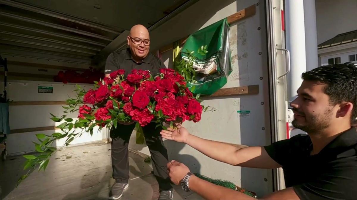 Mom's the Bride S1 E3