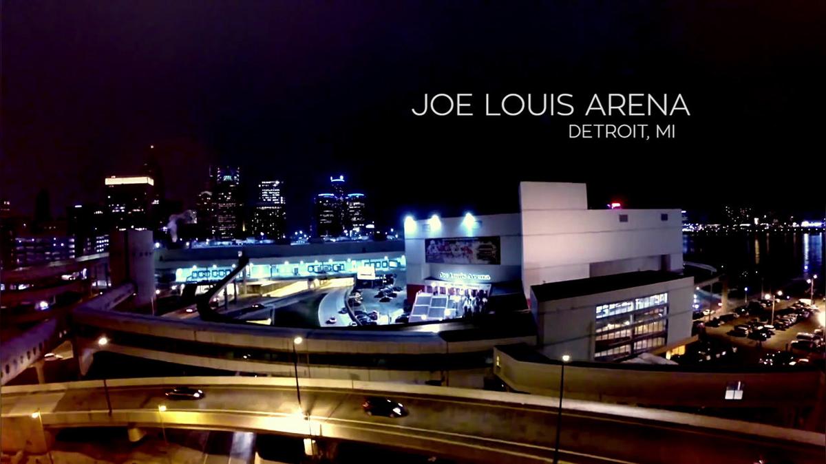 Red Wings - Joe Louis Arena Farewell Season