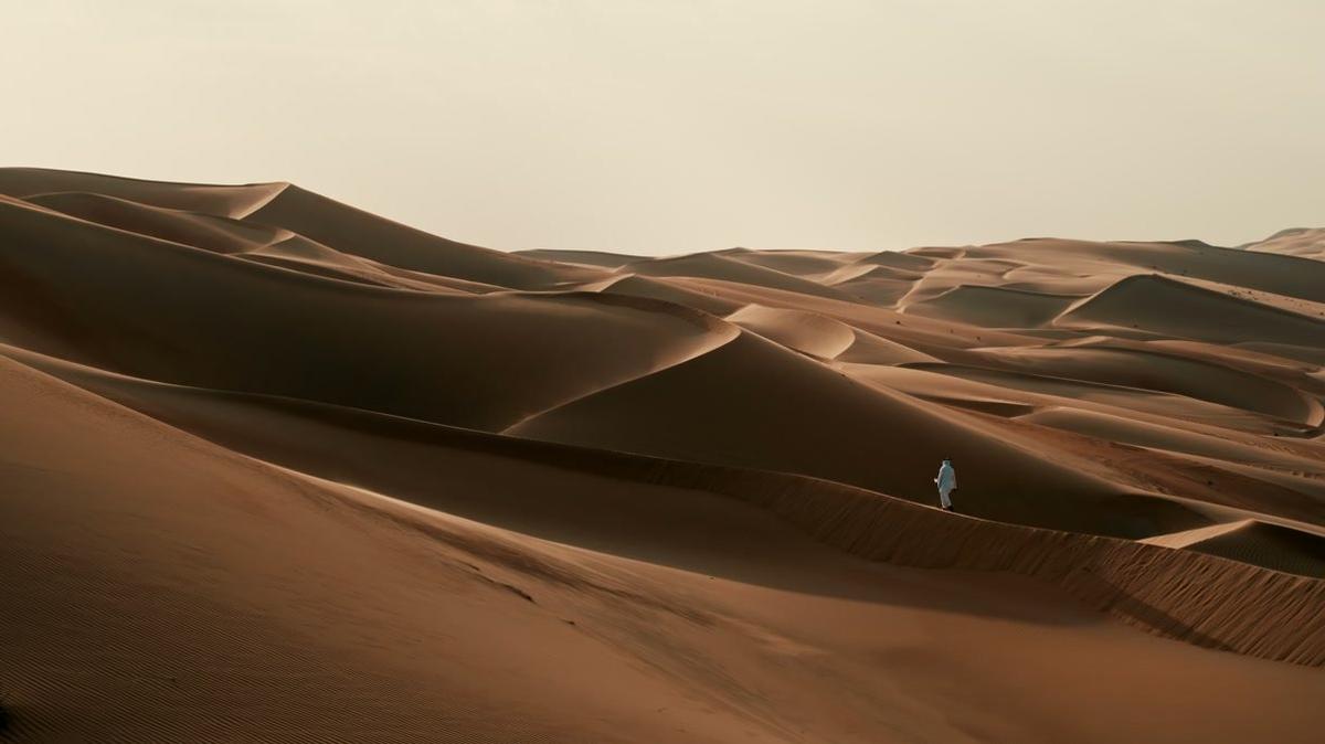 Dubai Desert Dunes Person