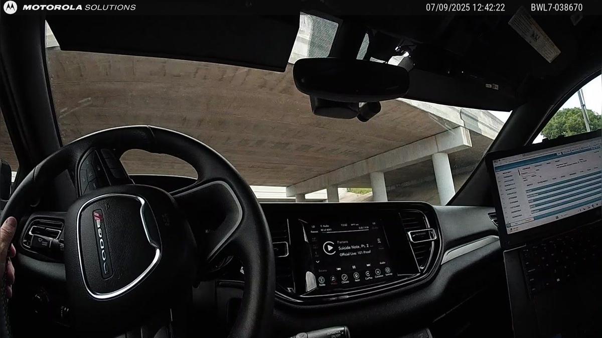 290239 - Aradillas - Body